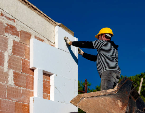 Best Residential Insulation in Santo Domingo Pueblo, NM