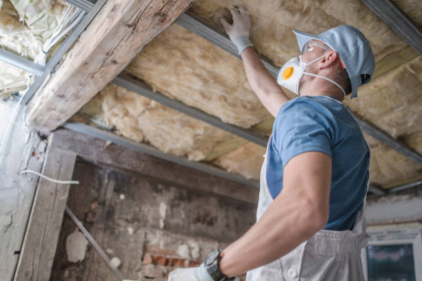 Types of Insulation We Offer in Santo Domingo Pueblo, NM