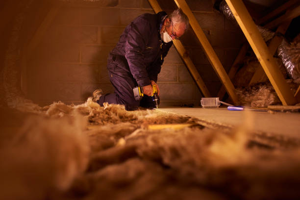 Best Spray Foam Insulation in Santo Domingo Pueblo, NM